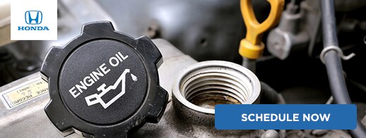 economy honda oil change coupons